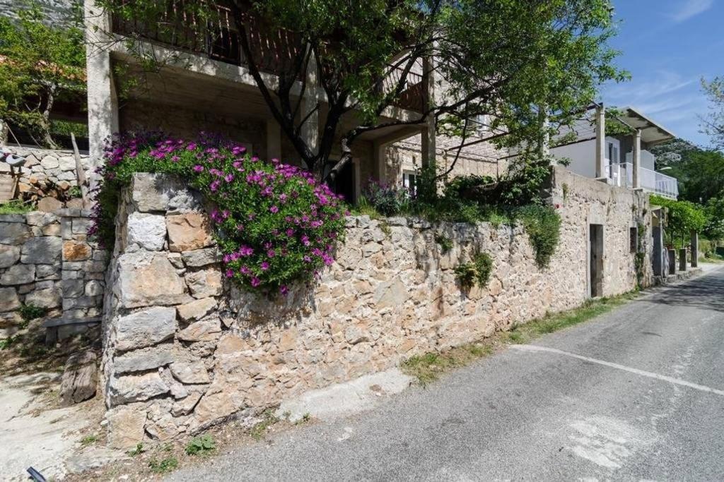 Apartments Felix Babino Polje Экстерьер фото
